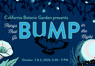 Things That Go Bump in the Night 2026